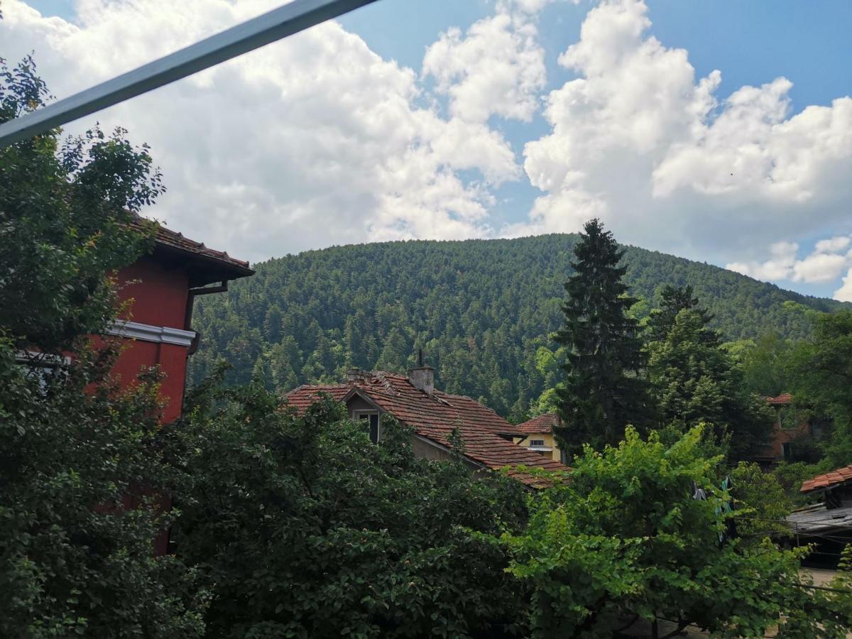 Guest House Ena Velingrad Kültér fotó