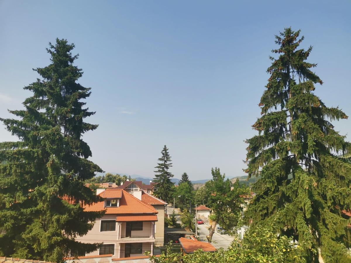 Guest House Ena Velingrad Kültér fotó